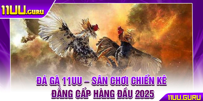 Đá Gà 11UU – Sân Chơi Chiến Kê Đẳng Cấp Hàng Đầu 2025 1 Đá Gà 11UU – Sân Chơi Chiến Kê Đẳng Cấp Hàng Đầu 2025