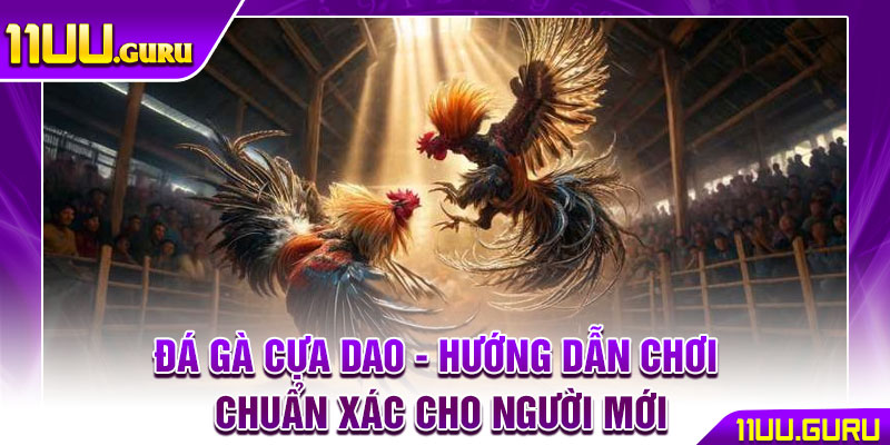 Đá Gà Cựa Dao - Hướng Dẫn Chơi Chuẩn Xác Cho Người Mới 1 Đá Gà Cựa Dao - Hướng Dẫn Chơi Chuẩn Xác Cho Người Mới