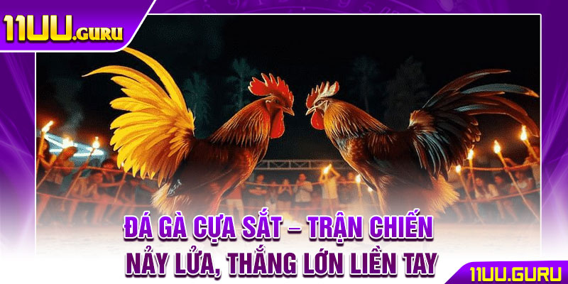 Đá Gà Cựa Sắt – Trận Chiến Nảy Lửa, Thắng Lớn Liền Tay 1 Đá Gà Cựa Sắt – Trận Chiến Nảy Lửa, Thắng Lớn Liền Tay