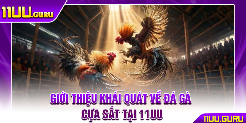 Đá Gà Cựa Sắt – Trận Chiến Nảy Lửa, Thắng Lớn Liền Tay 2 Giới thiệu khái quát về đá gà cựa sắt tại 11uu