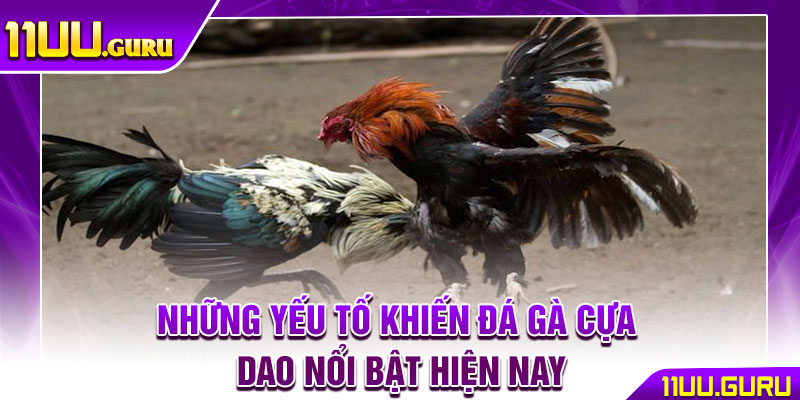 Đá Gà Cựa Dao - Hướng Dẫn Chơi Chuẩn Xác Cho Người Mới 3 Những yếu tố khiến đá gà cựa dao nổi bật hiện nay