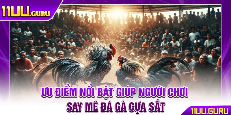 Đá Gà Cựa Sắt – Trận Chiến Nảy Lửa, Thắng Lớn Liền Tay 3 Ưu điểm nổi bật giúp người chơi say mê đá gà cựa sắt